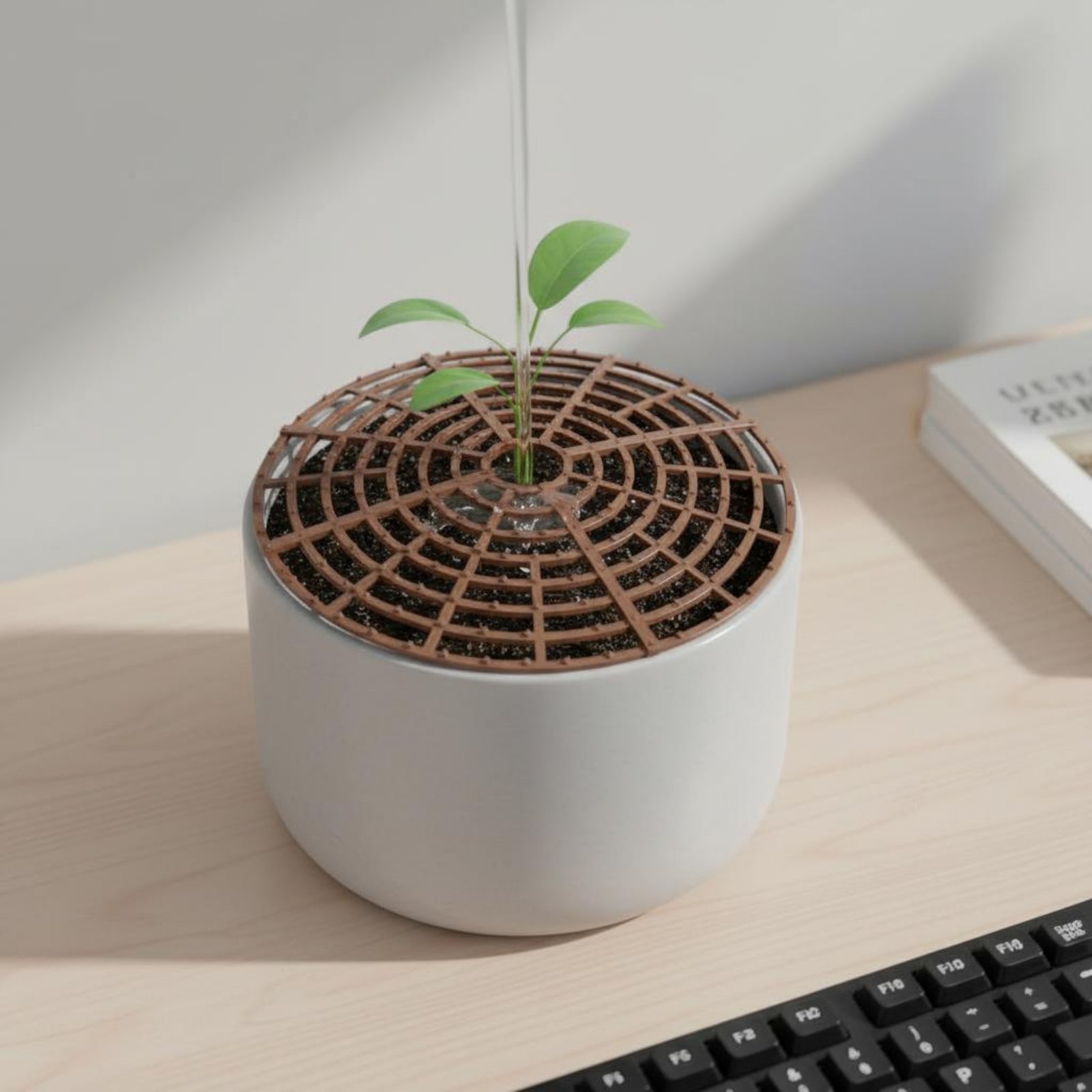 Penutup Tanah Pot Tanaman Taha - Plant Parent Pot ulasan dan harga