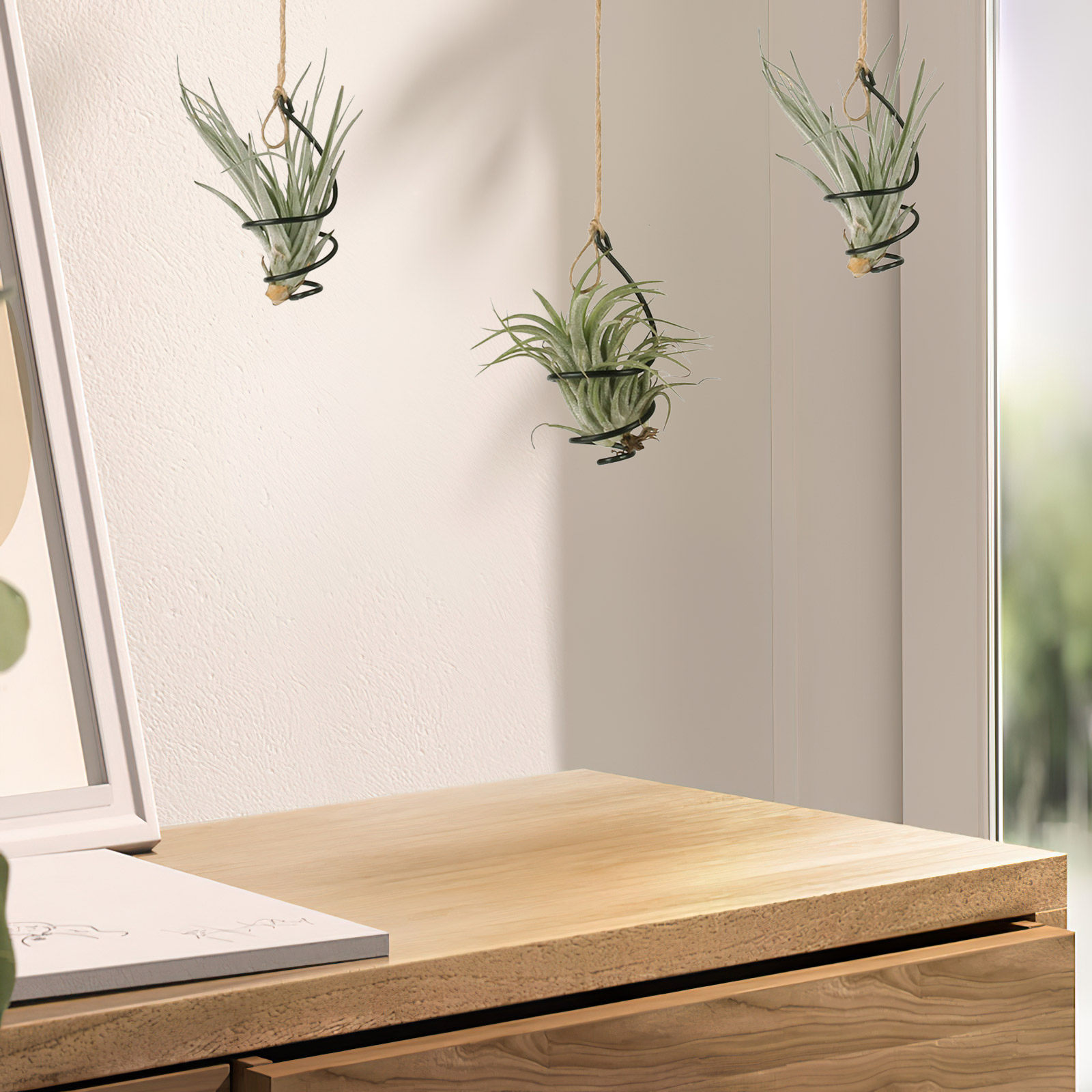 12Set Penyangga Tanaman Udara  - Air Plant Tillandsia ulasan dan harga