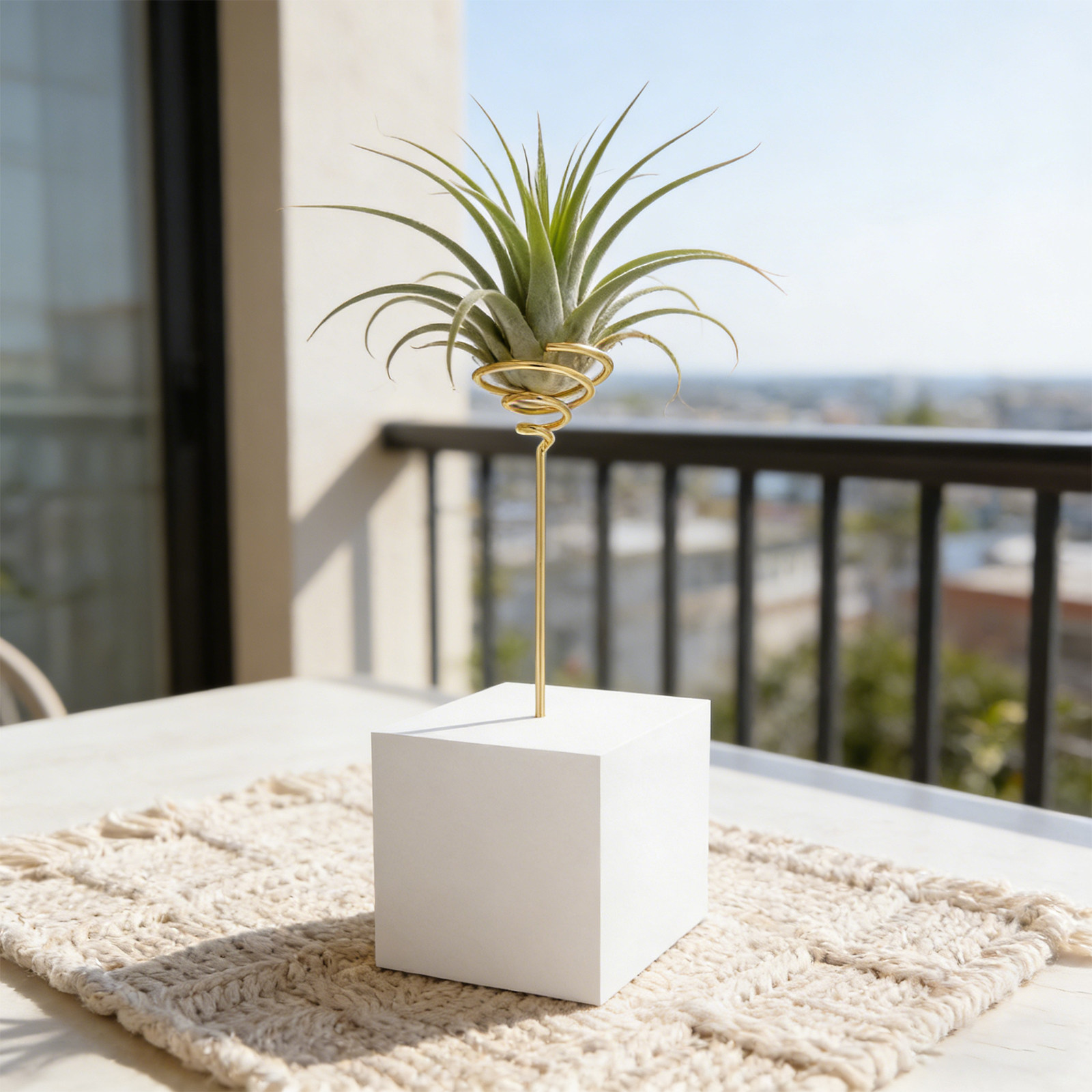 6 Buah Rak Tanaman Udara Logam - Air Plant Tillandsia ulasan dan harga