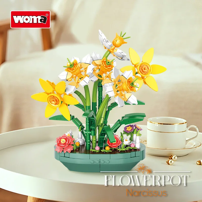 Tanaman Bunga Daffodil yang Di - Plant Parent Pot ulasan dan harga